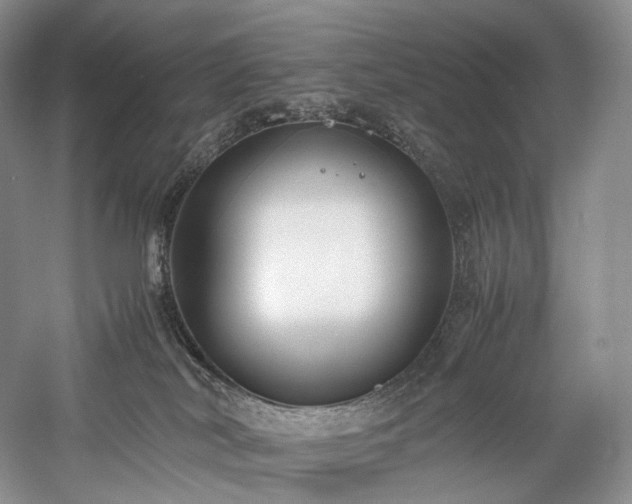 X0000058130038200509231130