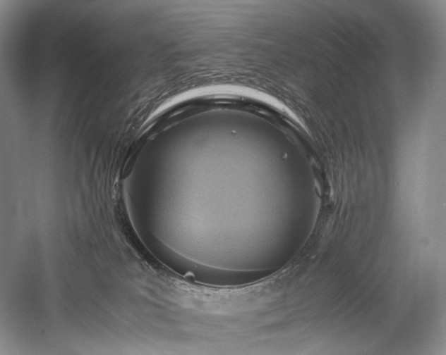 X0000058130039200509231130