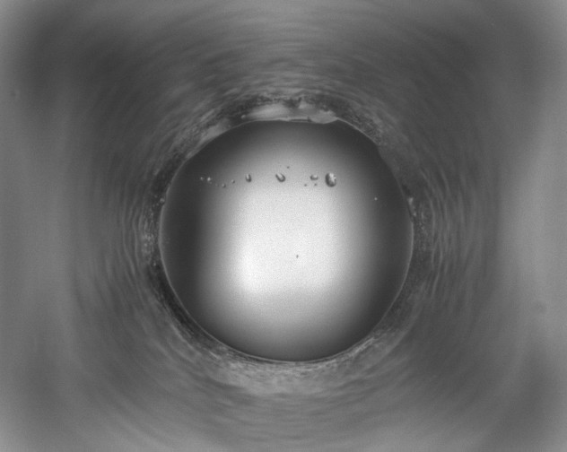 X0000058130040200509231130