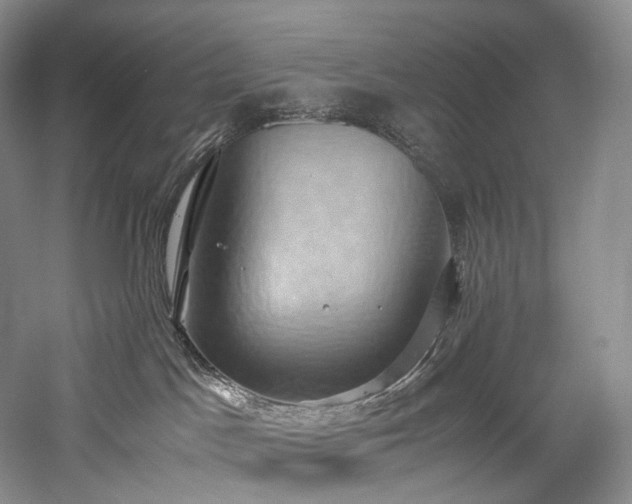 X0000058130045200509231130
