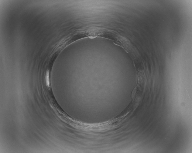 X0000058130046200509231130
