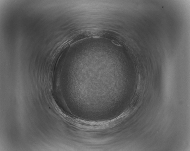 X0000058130048200509231130