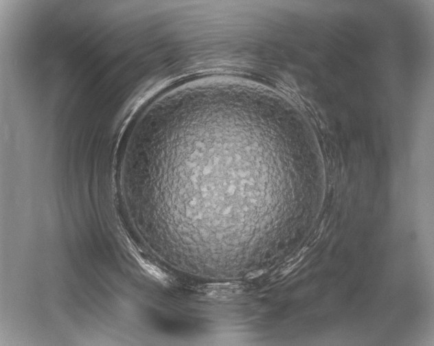 X0000058130050200509231129