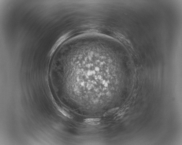 X0000058130051200509231129