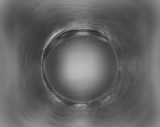 X0000058130052200509231129