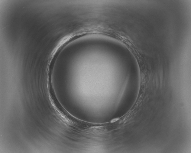 X0000058130054200509231129