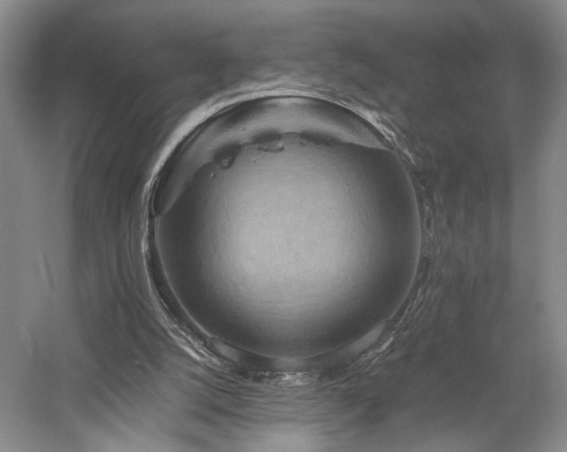 X0000058130056200509231129