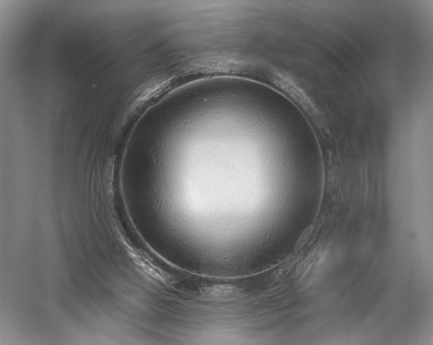 X0000058130058200509231129