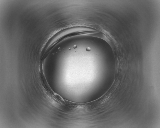 X0000058130060200509231129