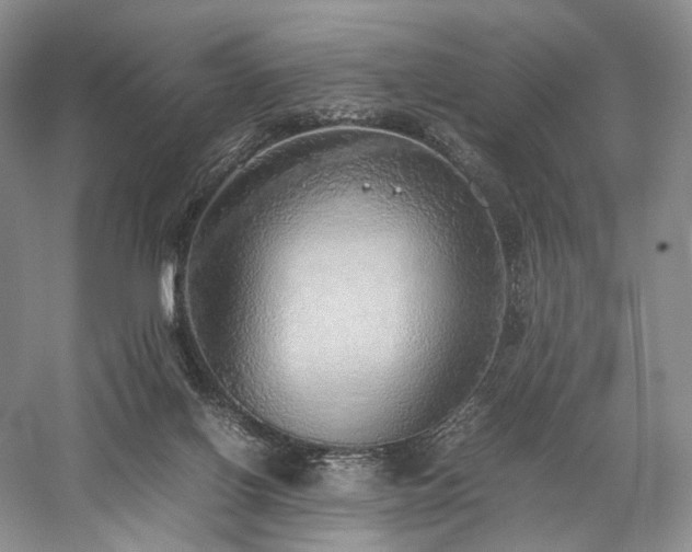X0000058130070200509231129