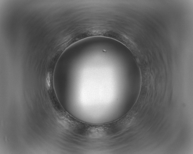 X0000058130075200509231130