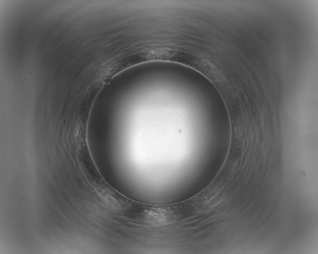 X0000058130079200509231130