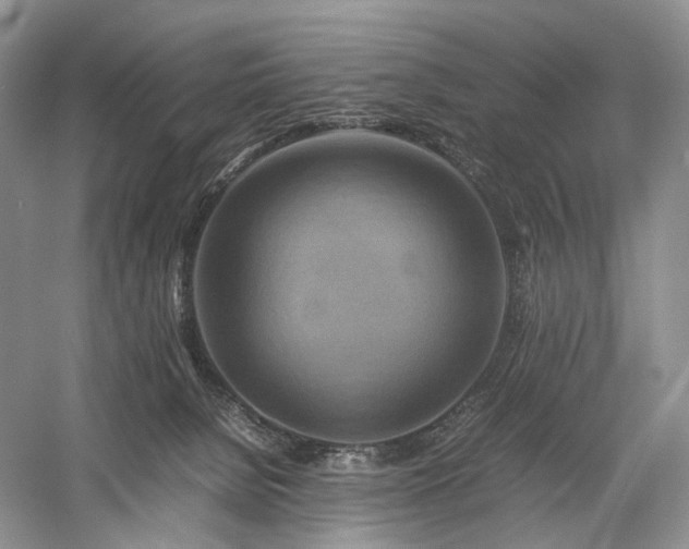 X0000058130080200509231130