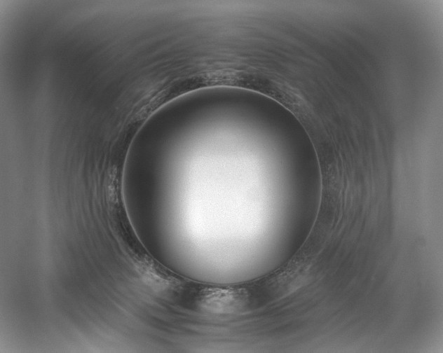 X0000058130083200509231130
