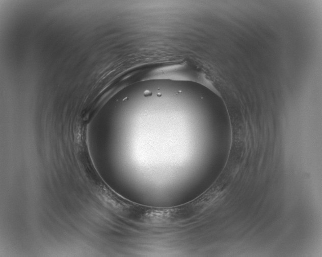 X0000058130084200509231130