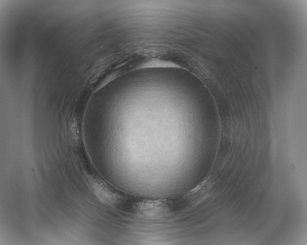 X0000058130086200509231130