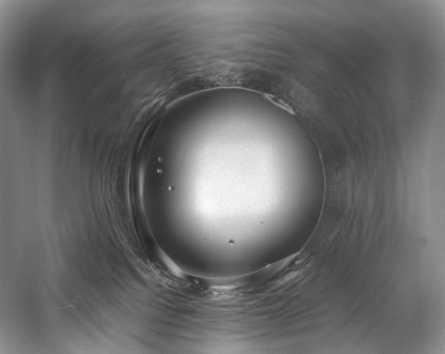 X0000058130088200509231130