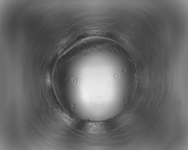 X0000058130089200509231130