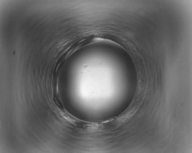X0000058130096200509231130