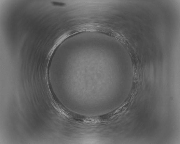 X0000058130099200509231129