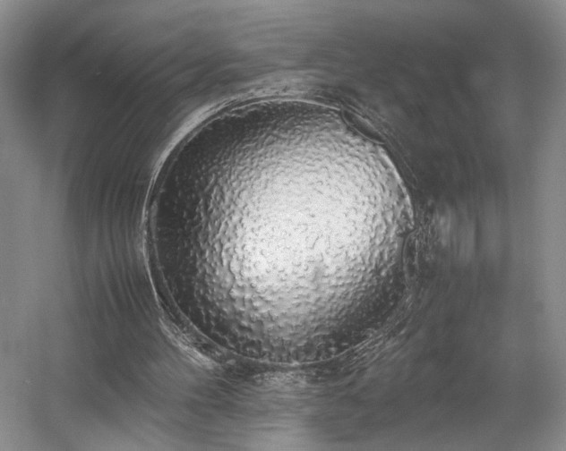 X0000058130100200509231129