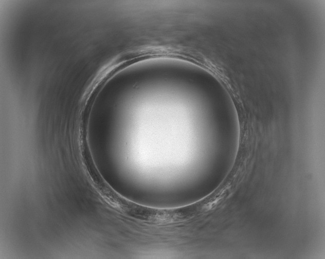 X0000058130103200509231129