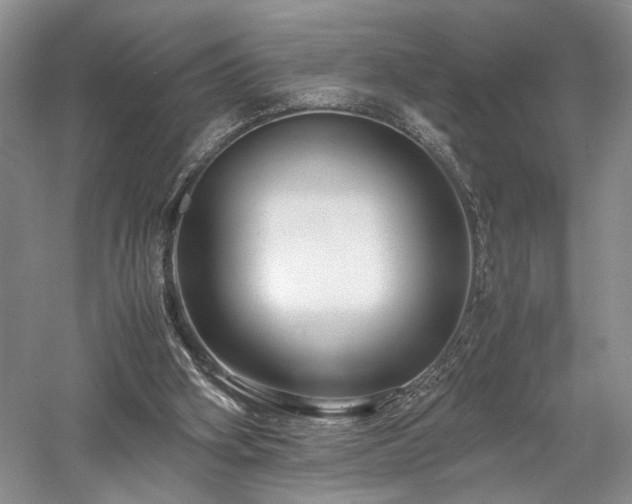X0000058130106200509231129
