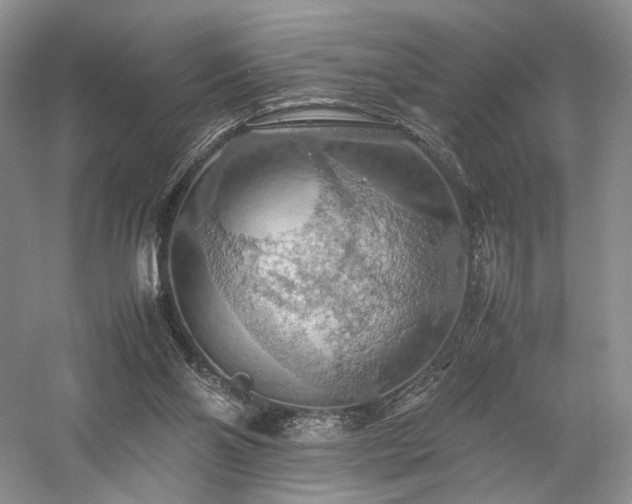 X0000058130110200509231129