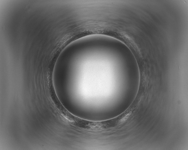 X0000058130113200509231129