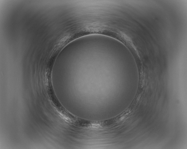 X0000058130114200509231129