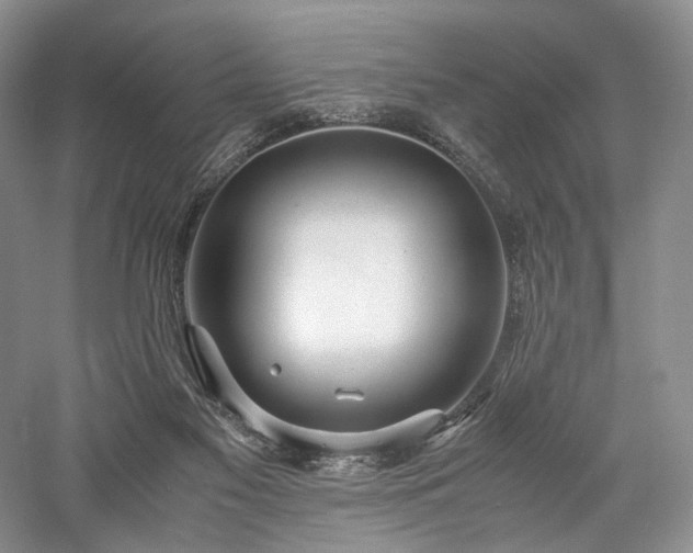 X0000058130117200509231129