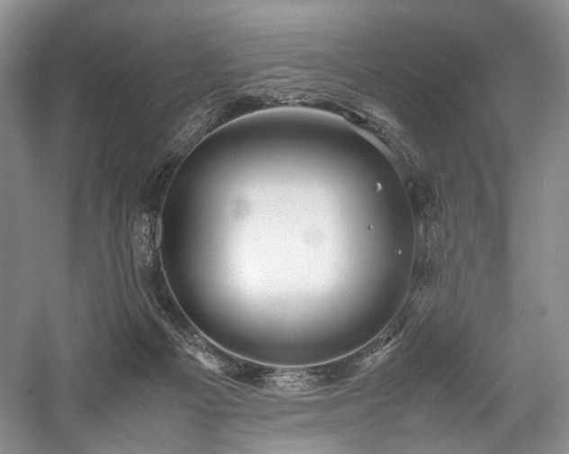 X0000058130121200509231129