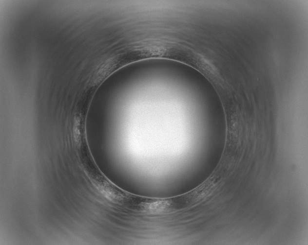 X0000058130122200509231129