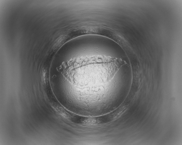 X0000058130123200509231129