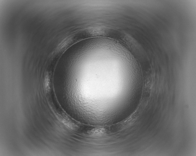 X0000058130124200509231129