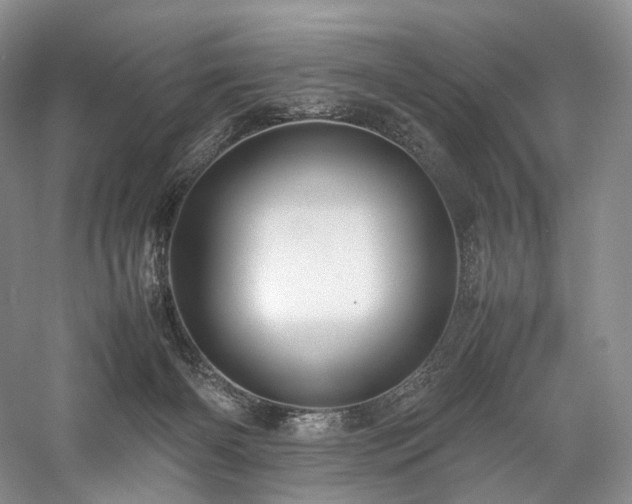 X0000058130126200509231129
