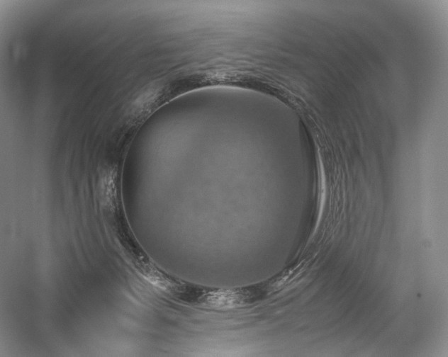 X0000058130127200509231129