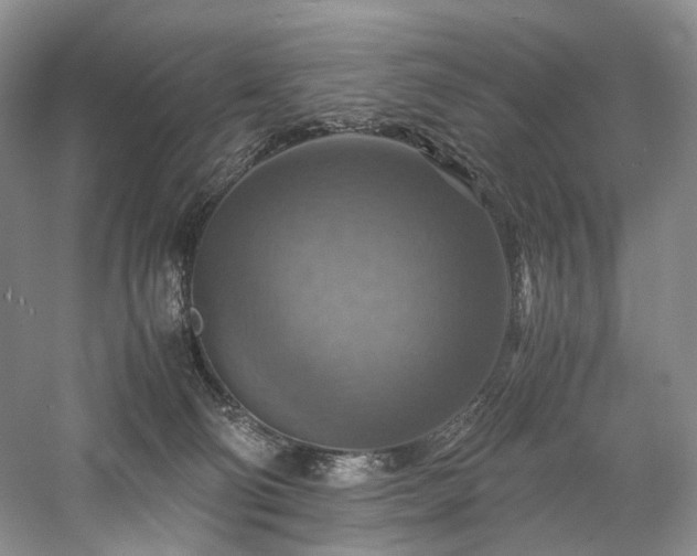 X0000058130130200509231129