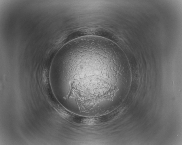 X0000058130131200509231129