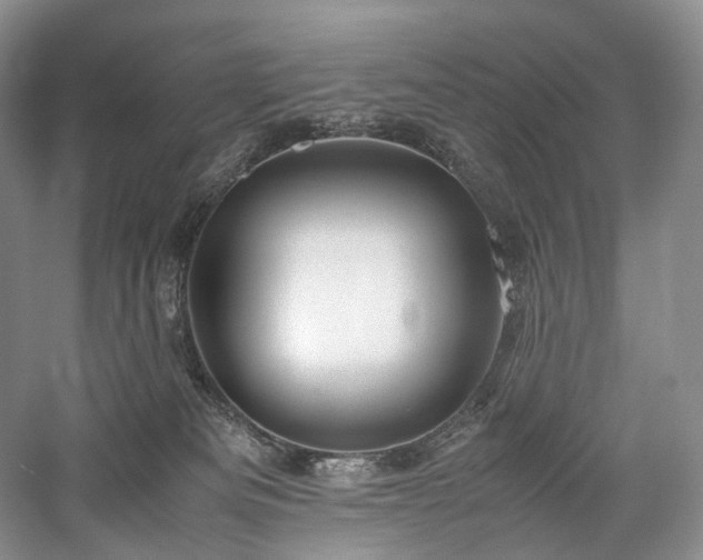 X0000058130133200509231128