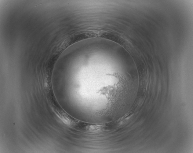 X0000058130134200509231128