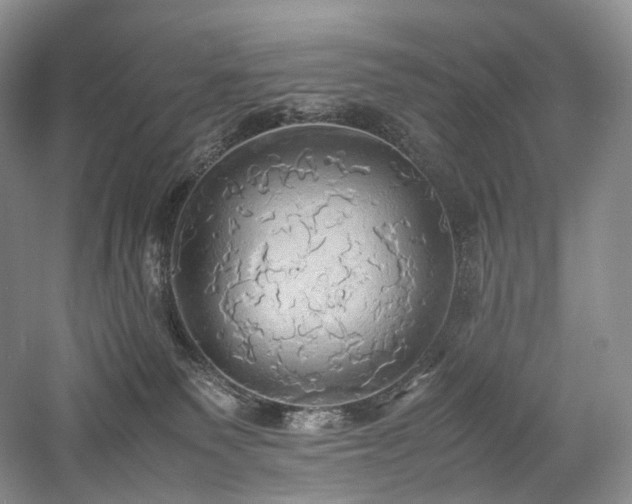 X0000058130135200509231128