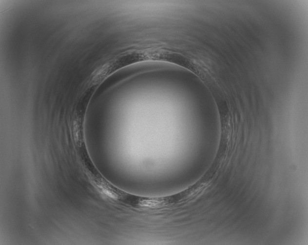 X0000058130139200509231128