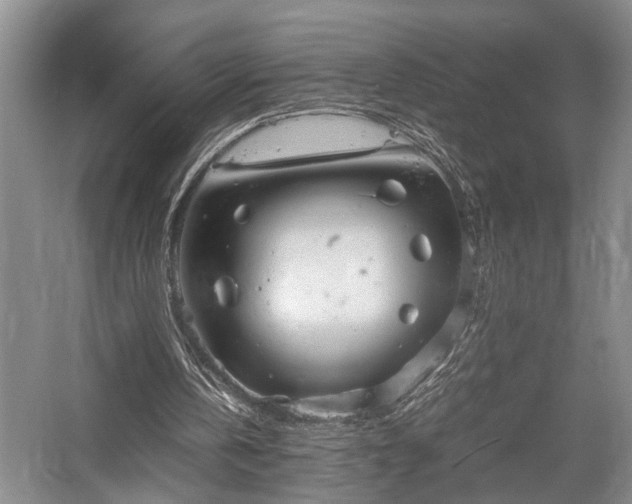 X0000058130146200509231127