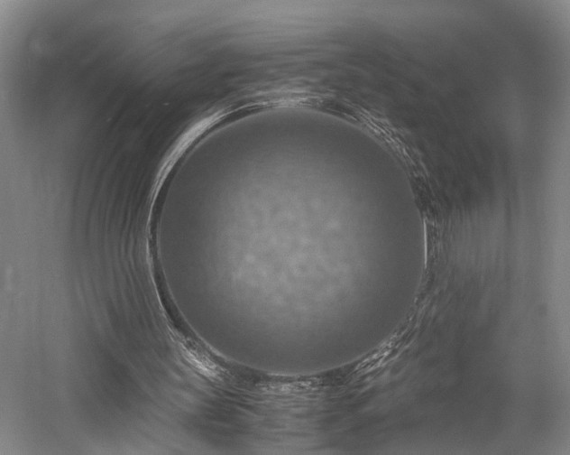 X0000058130147200509231128