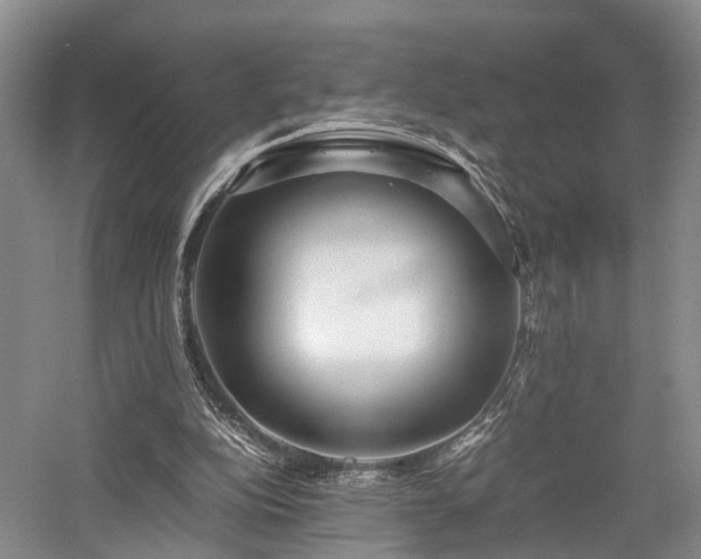 X0000058130152200509231128