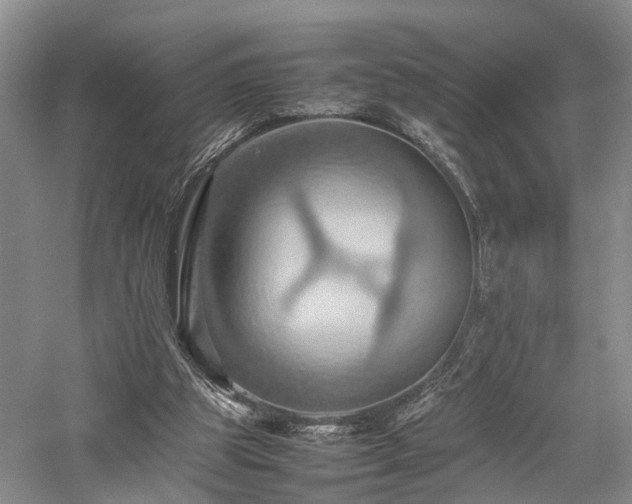 X0000058130153200509231128