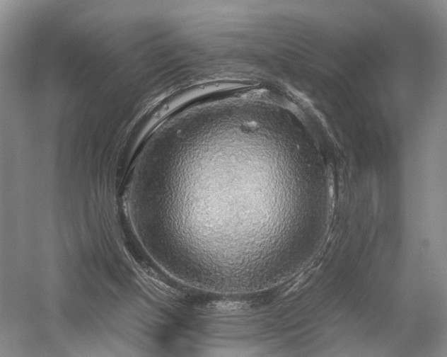 X0000058130154200509231128