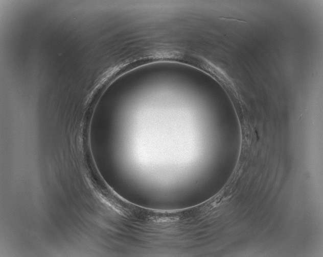 X0000058130155200509231128