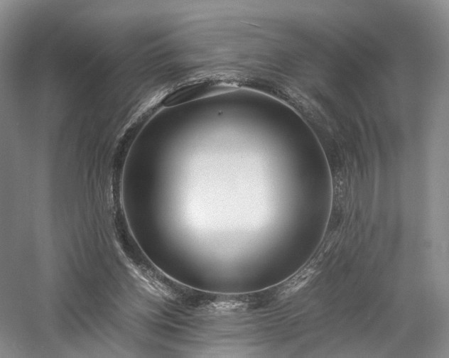 X0000058130158200509231128